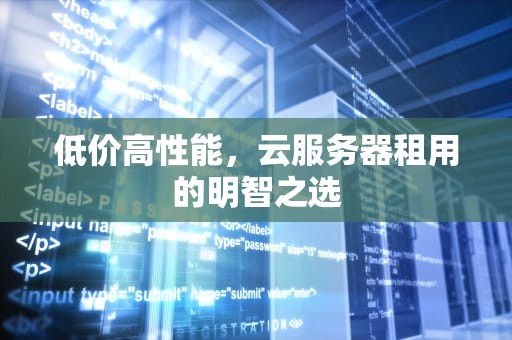 低价高性能，云服务器租用的明智之选