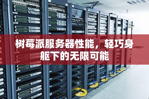 树莓派服务器性能，轻巧身躯下的无限可能