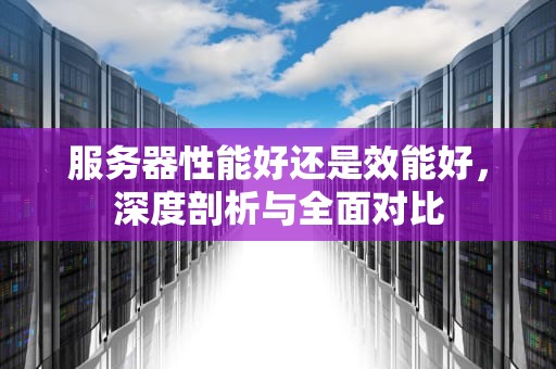 服务器性能好还是效能好，深度剖析与全面对比