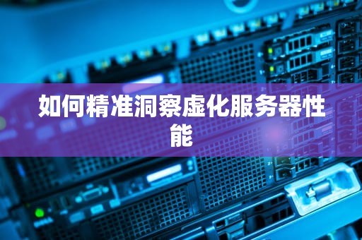 如何精准洞察虚化服务器性能