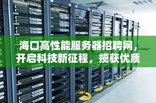 海口高性能服务器招聘网，开启科技新征程，揽获优质人才