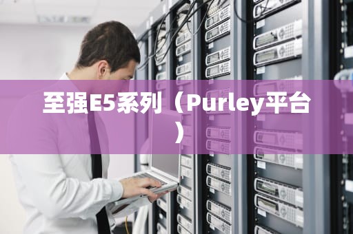 至强E5系列（Purley平台）