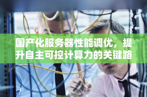 国产化服务器性能调优，提升自主可控计算力的关键路径