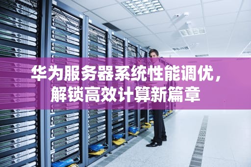 华为服务器系统性能调优，解锁高效计算新篇章