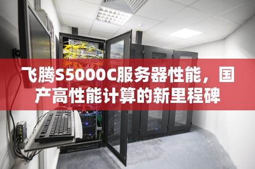 飞腾S5000C服务器性能，国产高性能计算的新里程碑
