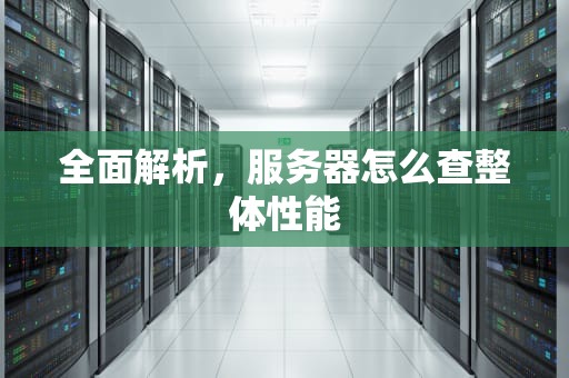 全面解析，服务器怎么查整体性能