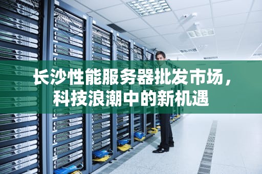 长沙性能服务器批发市场，科技浪潮中的新机遇