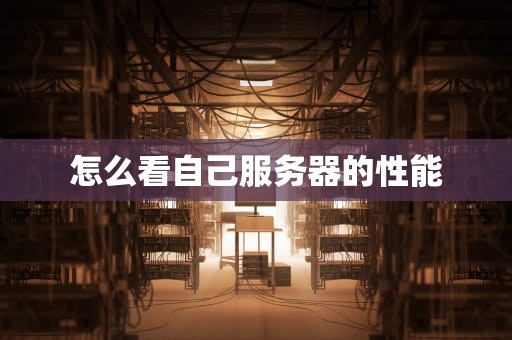 怎么看自己服务器的性能