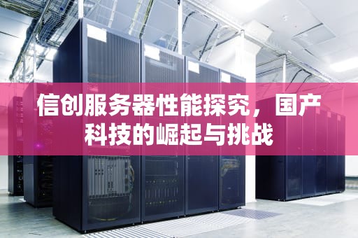 信创服务器性能探究，国产科技的崛起与挑战