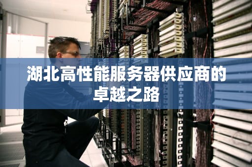 湖北高性能服务器供应商的卓越之路