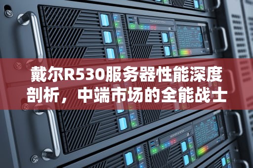 戴尔R530服务器性能深度剖析，中端市场的全能战士