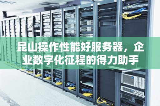 昆山操作性能好服务器，企业数字化征程的得力助手