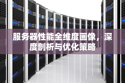服务器性能全维度画像，深度剖析与优化策略