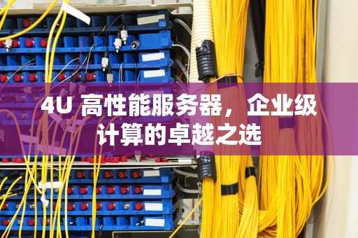 4U 高性能服务器，企业级计算的卓越之选