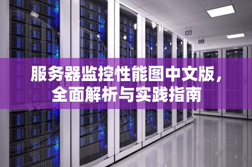 服务器监控性能图中文版，全面解析与实践指南
