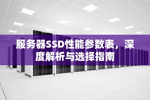 服务器SSD性能参数表，深度解析与选择指南