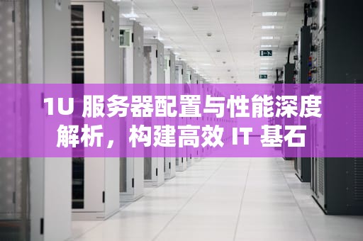 1U 服务器配置与性能深度解析，构建高效 IT 基石