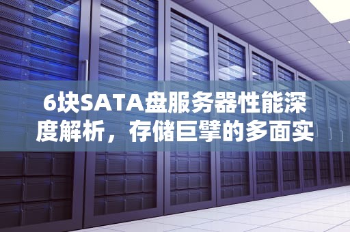 6块SATA盘服务器性能深度解析，存储巨擘的多面实力