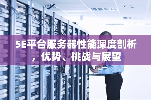 5E平台服务器性能深度剖析，优势、挑战与展望