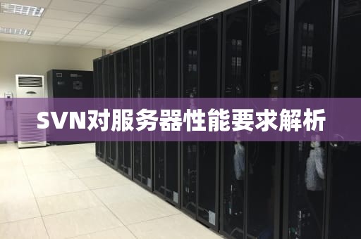 SVN对服务器性能要求解析