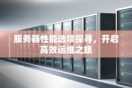 服务器性能选项探寻，开启高效运维之旅