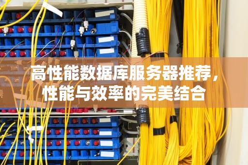 高性能数据库服务器推荐，性能与效率的完美结合