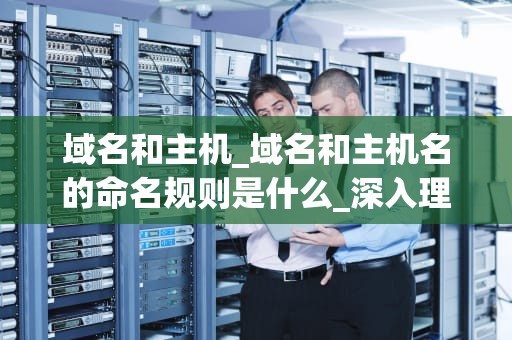 域名和主机_域名和主机名的命名规则是什么_深入理解域名和主机：构建您的在线存在