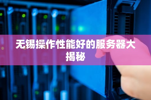无锡操作性能好的服务器大揭秘