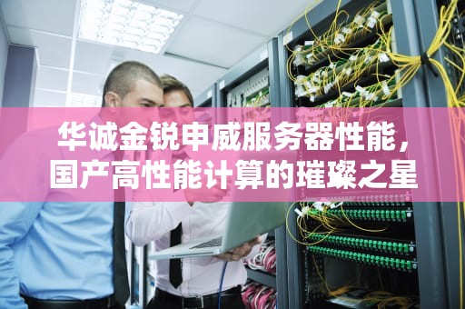 华诚金锐申威服务器性能，国产高性能计算的璀璨之星