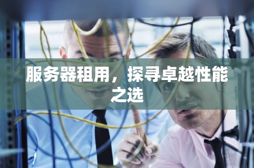 服务器租用，探寻卓越性能之选