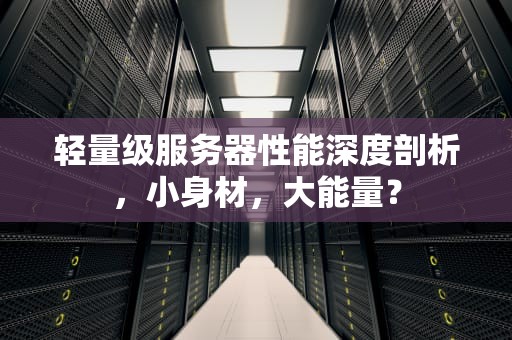 轻量级服务器性能深度剖析，小身材，大能量？