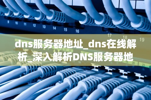 dns服务器地址_dns在线解析_深入解析DNS服务器地址及其重要性