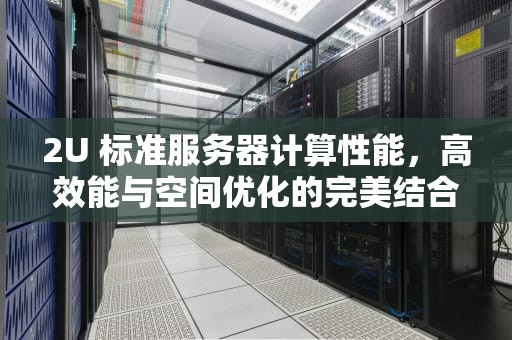 2U 标准服务器计算性能，高效能与空间优化的完美结合