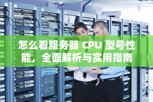 怎么看服务器 CPU 型号性能，全面解析与实用指南