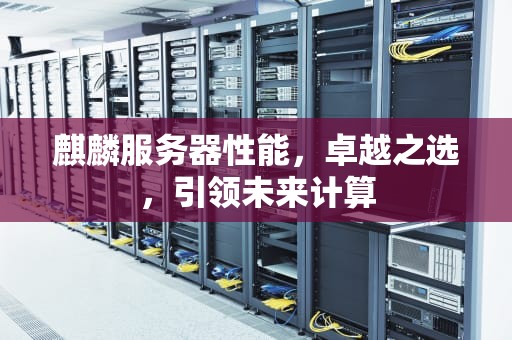 麒麟服务器性能，卓越之选，引领未来计算