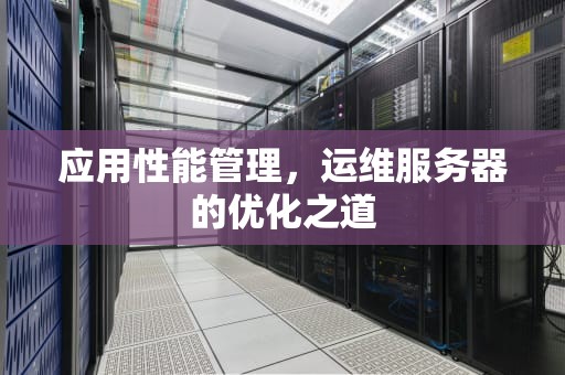 应用性能管理，运维服务器的优化之道