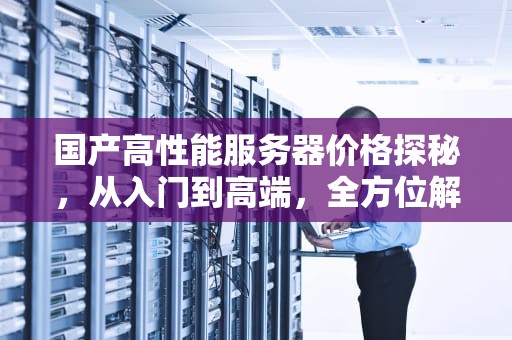 国产高性能服务器价格探秘，从入门到高端，全方位解析