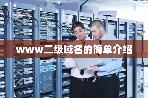 www二级域名的简单介绍