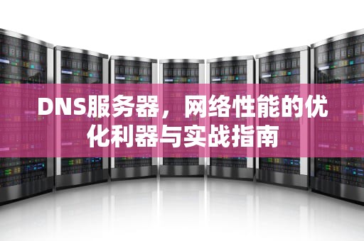 DNS服务器，网络性能的优化利器与实战指南