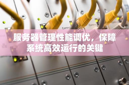 服务器管理性能调优，保障系统高效运行的关键