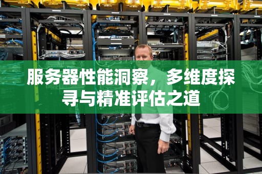 服务器性能洞察，多维度探寻与精准评估之道