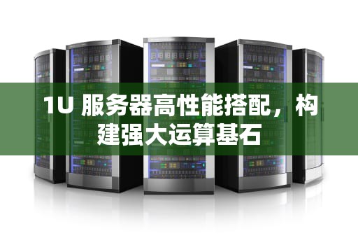 1U 服务器高性能搭配，构建强大运算基石
