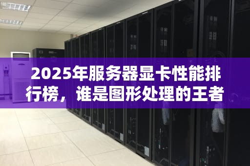 2025年服务器显卡性能排行榜，谁是图形处理的王者？
