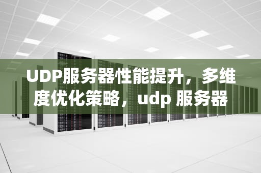 UDP服务器性能提升，多维度优化策略，udp 服务器