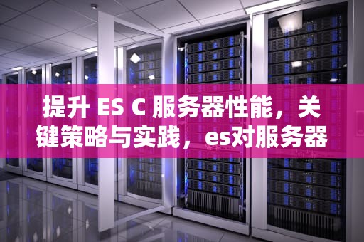 提升 ES C 服务器性能，关键策略与实践，es对服务器要求