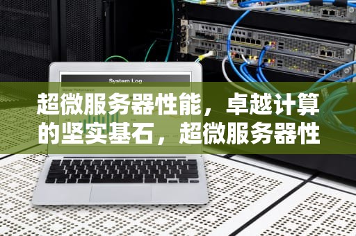 超微服务器性能，卓越计算的坚实基石，超微服务器性能计数器感叹号