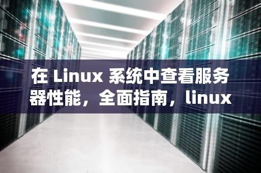在 Linux 系统中查看服务器性能，全面指南，linux 查看服务器性能