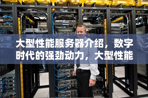 大型性能服务器介绍，数字时代的强劲动力，大型性能服务器介绍图
