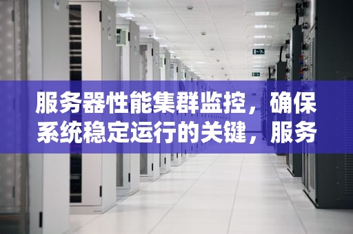 服务器性能集群监控，确保系统稳定运行的关键，服务器性能集群监控系统