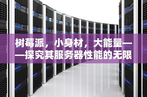 树莓派，小身材，大能量——探究其服务器性能的无限可能，树莓派做服务器性能怎么样